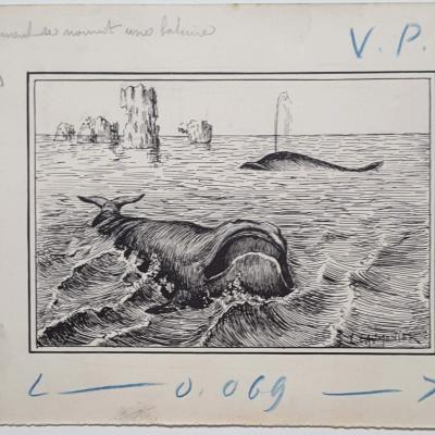 Laumonier Louis dessin original representant une baleine